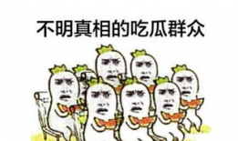 动漫吃瓜群众五码爆料,吃瓜群众五码爆料，带你走进动漫世界的幕后真相