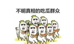 动漫吃瓜群众五码爆料,吃瓜群众五码爆料，带你走进动漫世界的幕后真相