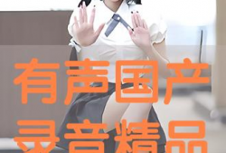 录音精品国产,录音精品中的民族骄傲