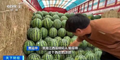 娱乐718吃瓜入口,揭秘明星幕后吃瓜入口，带你领略娱乐圈真实一面  第2张