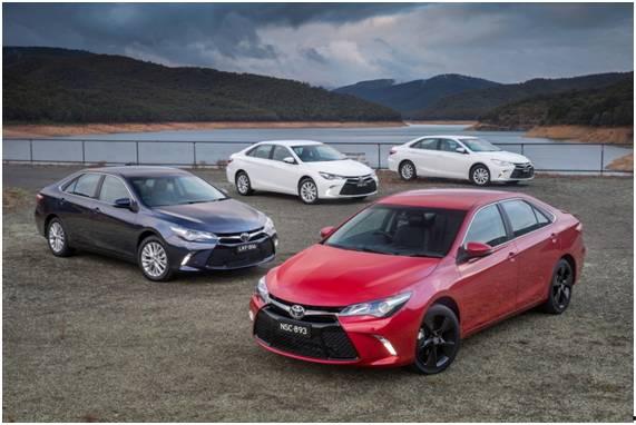 吃瓜娱乐圈camry,揭秘Camry的瓜田传奇  第2张