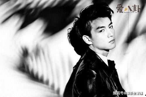 双男主读心吃瓜娱乐圈,双男主读心探秘娱乐圈风云  第3张