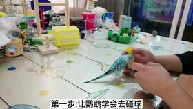 栗子吃瓜娱乐,揭秘娱乐圈幕后趣事  第2张