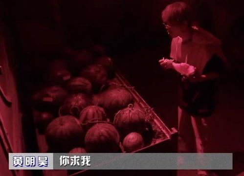 娱乐吃瓜密室逃脱小说推荐  第2张